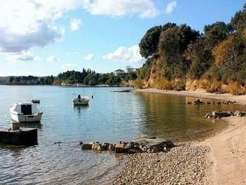 Apartman Ana Radovin Dış mekan fotoğraf